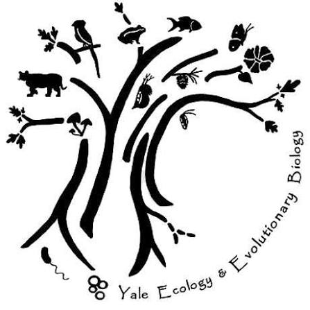 Yale EEB Logo